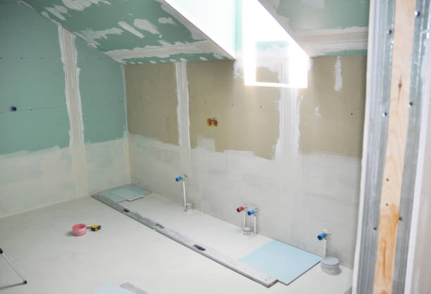Best Basement Mold Removal  in Bishopville, SC