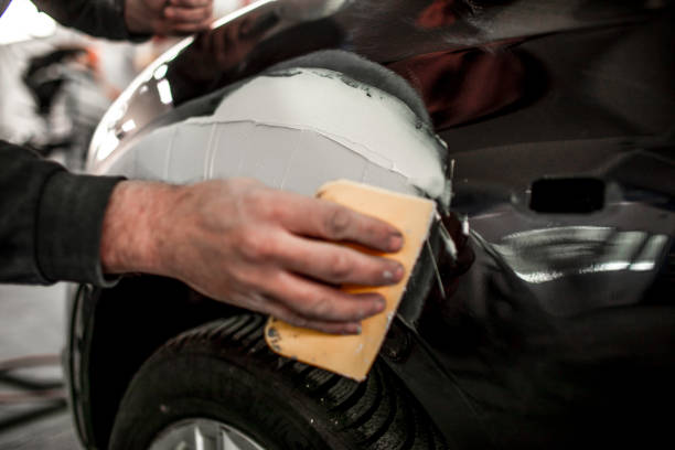 Best Forensic Mold Investigation  in Bishopville, SC