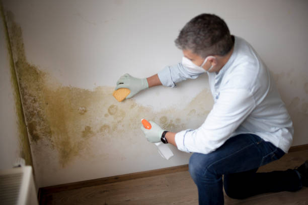 Best Asbestos and Lead Testing During Mold Inspection  in Bishopville, SC