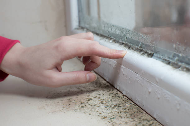 Best Mold-Related Health Consultation  in Bishopville, SC
