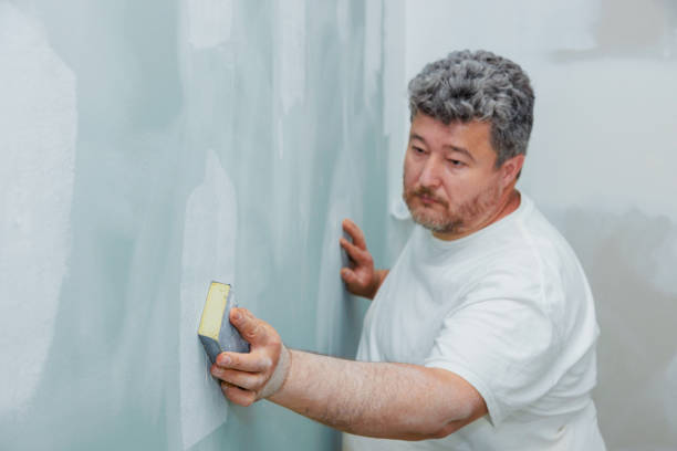 Best Mold Damage Restoration  in Bishopville, SC