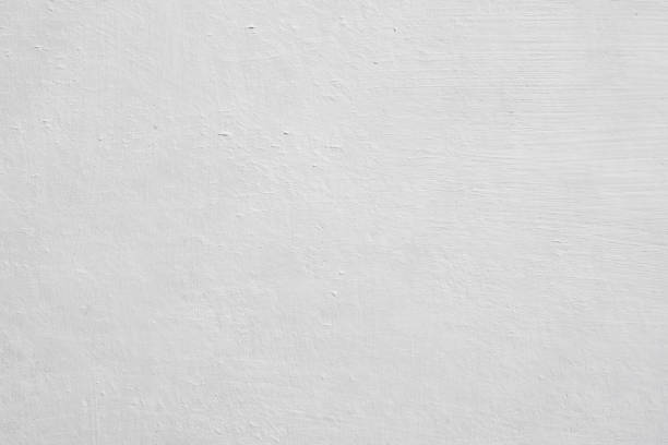 Best Commercial Mold Inspection  in Bishopville, SC