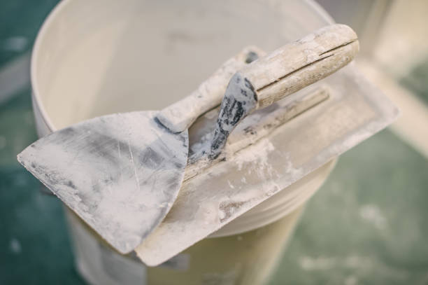 Professional Mold Removal in Bishopville, SC